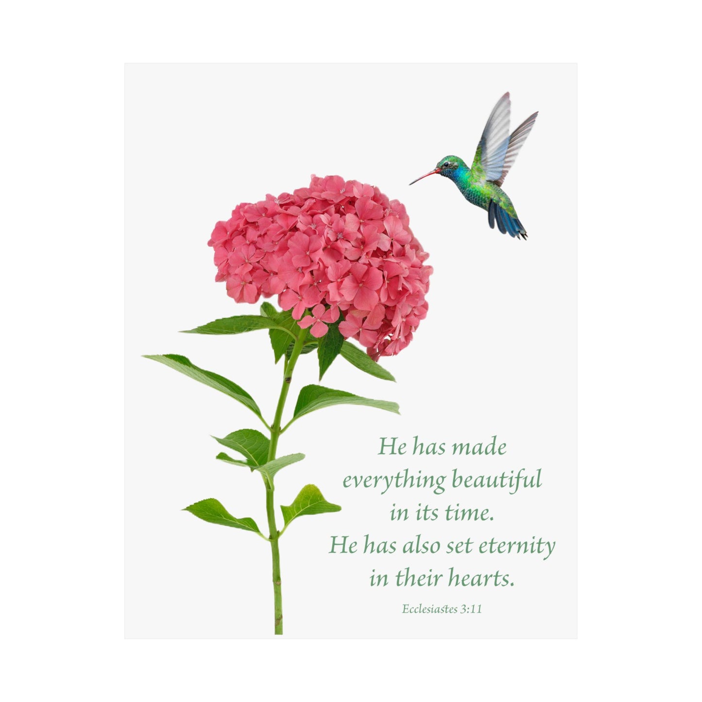Inspirational Matte Vertical Poster - Beautiful Floral Design with Hummingbird and Ecclesiastes 3:11 Verse
