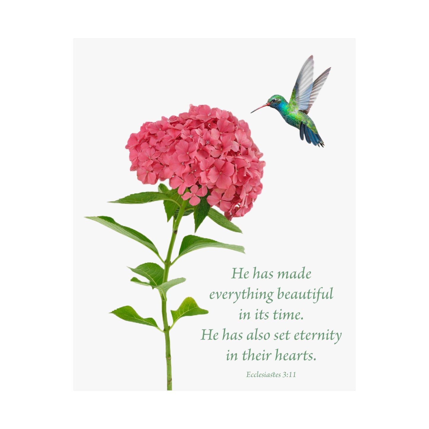 Inspirational Matte Vertical Poster - Beautiful Floral Design with Hummingbird and Ecclesiastes 3:11 Verse